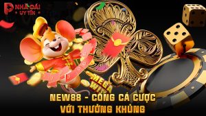 NEW88 - Cổng cá cược với thưởng khủng