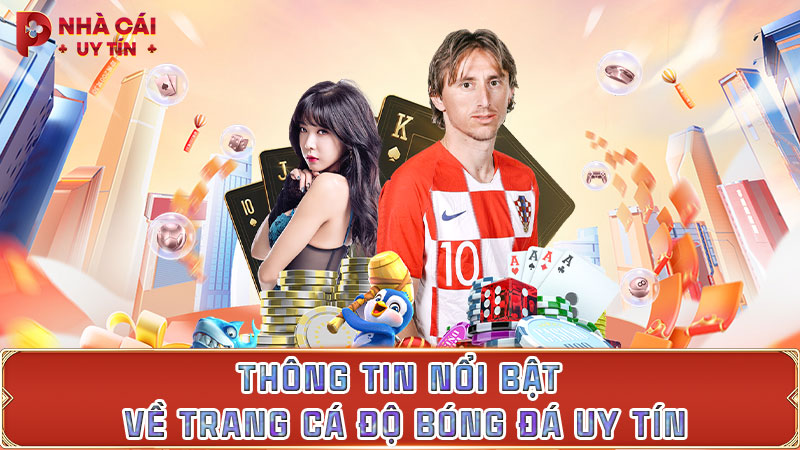 Thông tin nổi bật về trang cá độ bóng đá uy tín