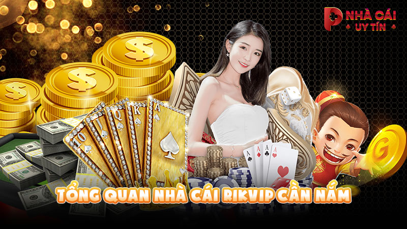 Tổng quan nhà cái RIKVIP cần nắm